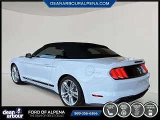 Ford Mustang 2020 EcoBoost 2dr Convertible