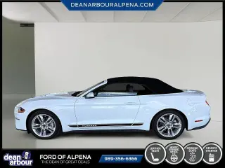 Ford Mustang 2020 EcoBoost 2dr Convertible