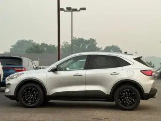 Ford Escape 2020 AWD SE 4 puertas SUV