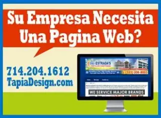 Diseñador Profesional