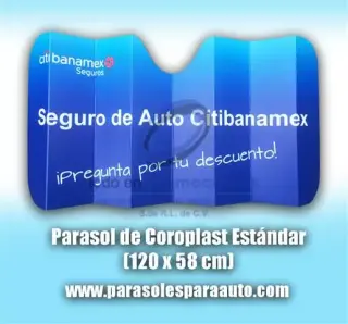 Parasoles para Auto