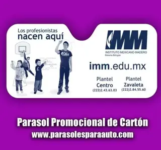 Parasoles para Auto
