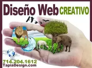 Creamos Paginas Web de Negocio