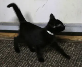 Sunara