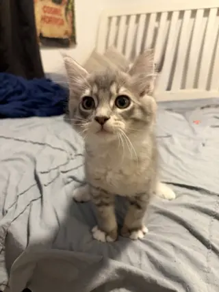Cloud