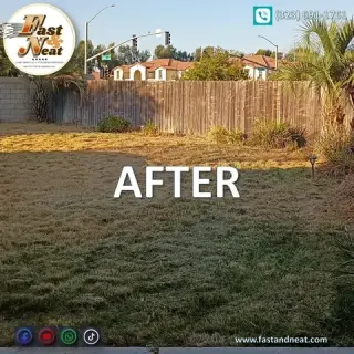 Evicted Houses Cleaning