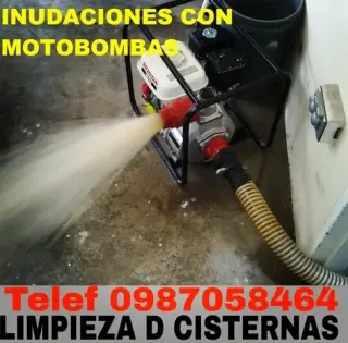 Limpieza en Puembo y Pifo