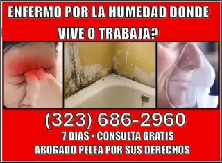 🔥ENFERMASTE POR HUMEDAD? 7/24