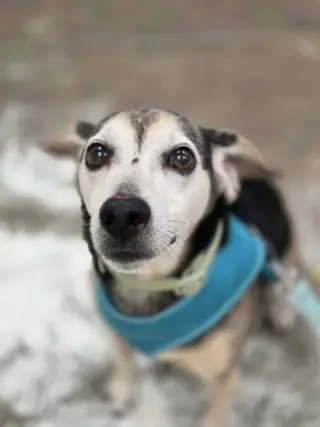 Finley