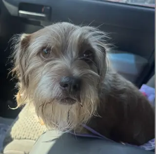 Tater Tot