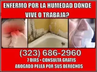 🔥SUFRE DE HUMEDAD EN SU CASA?