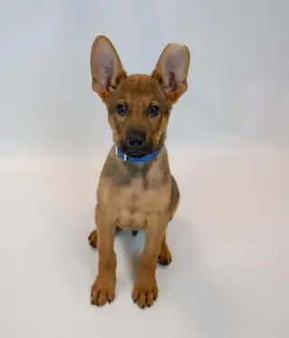 Malachi