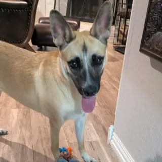 Bella XXVII (New Digs)