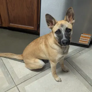 Bella XXVII (New Digs)