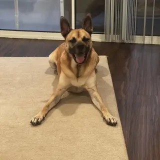 Walt (New Digs)
