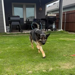 Nyla III (New Digs)