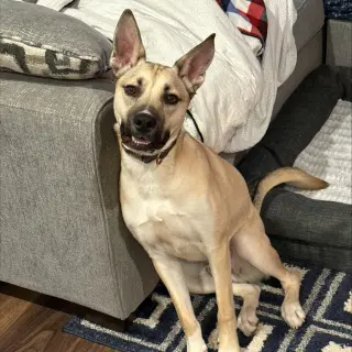 Kylo III (New Digs)