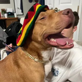 Rudy III (New Digs)