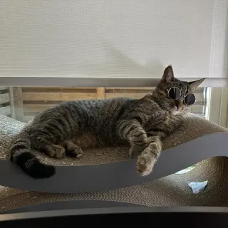 Cleo III (New Digs)