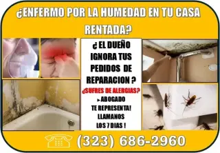 🔥ENFERMO? PROBLEMA DE HUMEDAD
