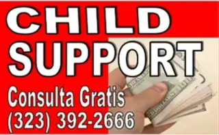█►DIVORCIO►CHILDSUPPORT►VISITA