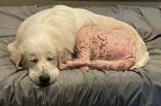 Maggie