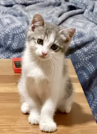 Pixie