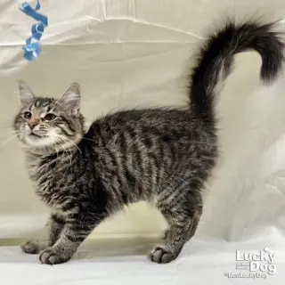 Jamie Lynn