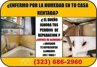 🔥ESTAS ENFERMO POR LA HUMEDAD