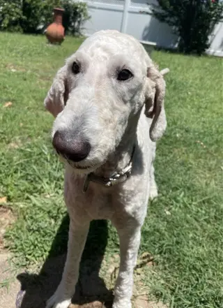 Winnie