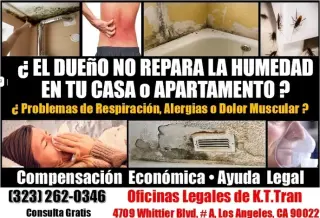 🔥EL DUEÑO NO REPARA SU CASA ?