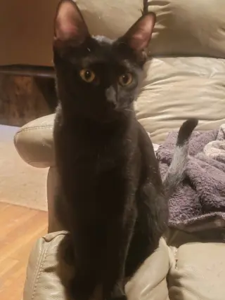 Olivia