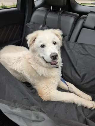 Hugo