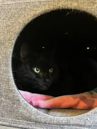 Thelma