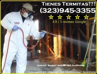 FUMIGATION ALL LOS ANGELES.-