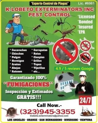 FUMIGATION ALL LOS ANGELES.-