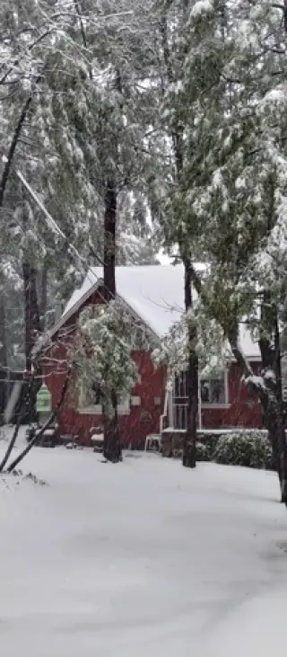 Compartir casa en Crestline