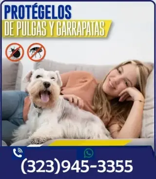 PEST CONTROL SERVICES