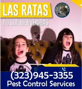 PEST CONTROL SERVICES