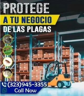 PEST CONTROL SERVICES