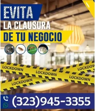PEST CONTROL SERVICES