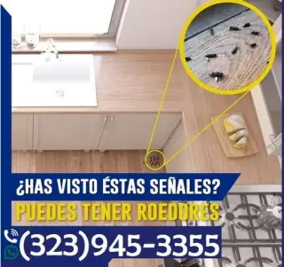 PEST CONTROL SERVICES