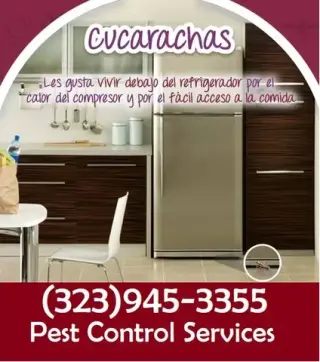PEST CONTROL SERVICES