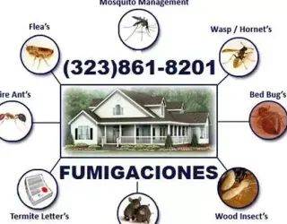 ☛SOLUCIÓN SEGURA Y EFECTIVA.
