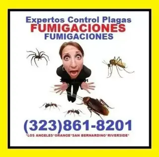 ☛SOLUCIÓN SEGURA Y EFECTIVA.
