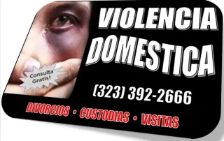 █►CUSTODIA►CHILDSUPPORT►VISITA