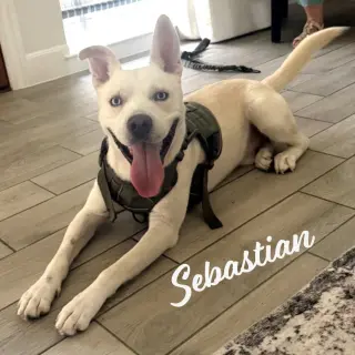 Sebastian #adventure-ready