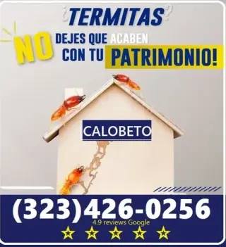 FUMIGACIONES TERMITAS L.A.-