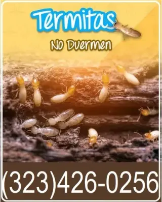 FUMIGACIONES TERMITAS L.A.-