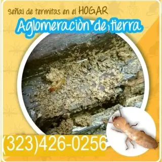 FUMIGACIONES TERMITAS L.A.-